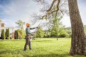 Best Tree Health Inspection  in Garden City, SC